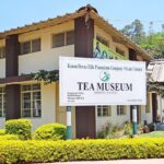 Tea Museum